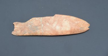 A close-up of the fish cleaning tool, Izmir, western Turkey, Oct. 19, 2021. (DHA Photo) 