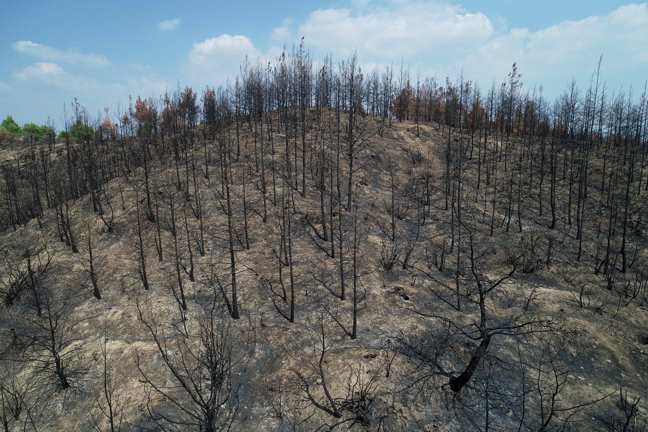 An aerial view shows burnt forest areas, in Adana, Turkey, Oct. 19, 2021. (AA Photo)