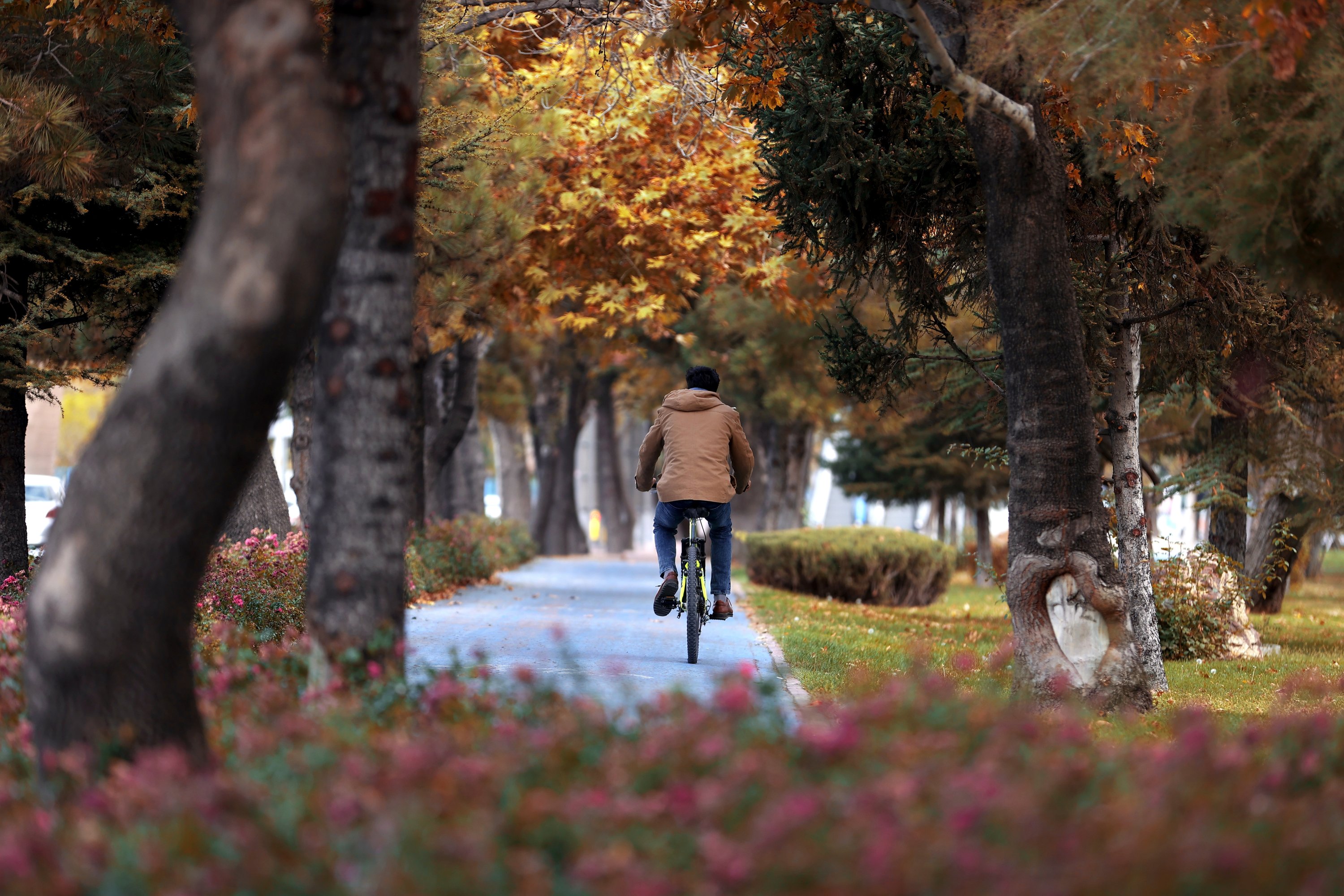 A man rides a bicycle on a bicycle lane in Konya, central Turkey, Oct. 22, 2021. (AA PHOTO)