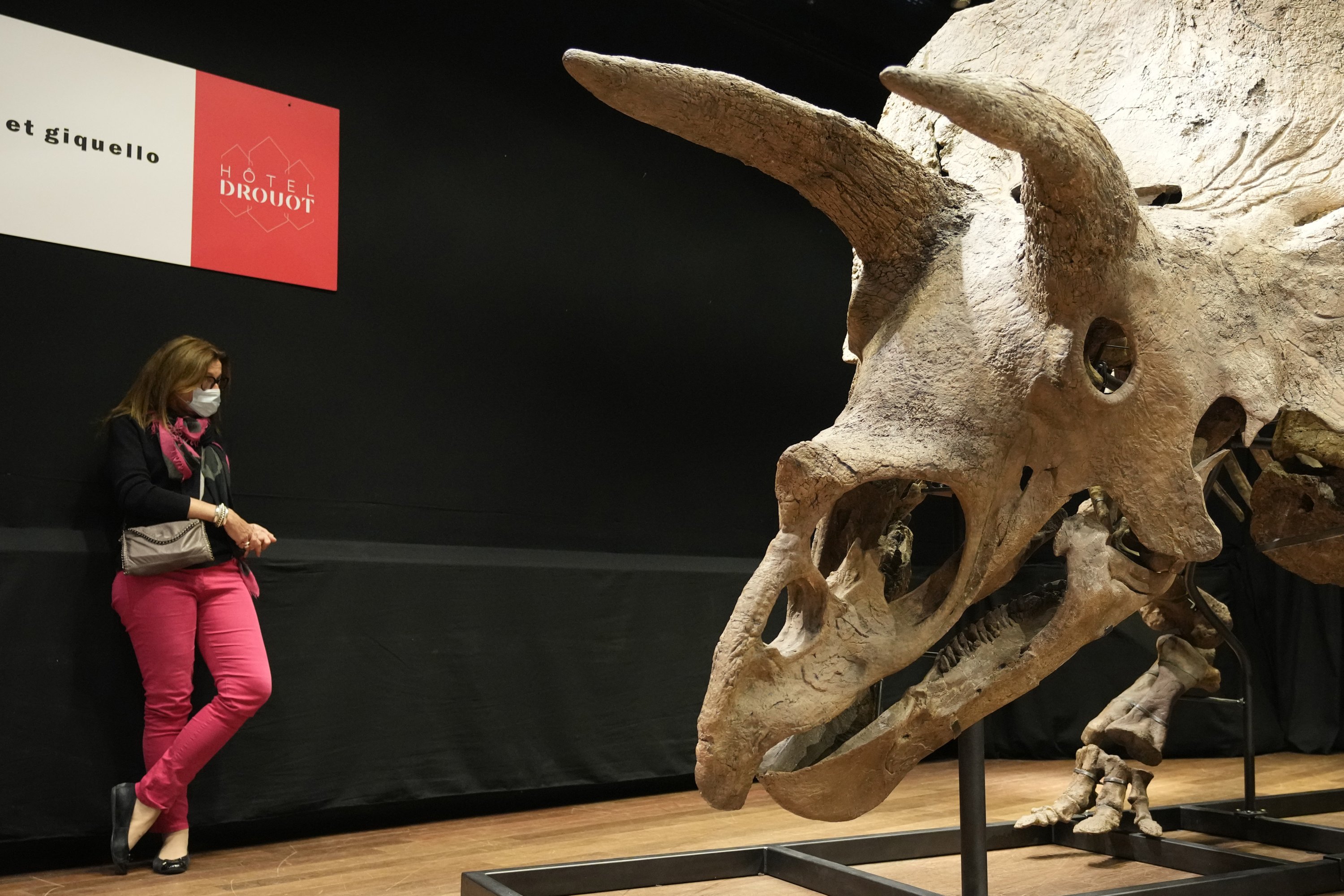 A woman stands next to the world's biggest triceratops skeleton, known as 'Big John,' during its auction in Paris, France, Oct. 21, 2021. (AP Photo)
