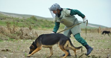 Azerbaijani authorities search for mines laid by Armenian forces in Karabakh, Azerbaijan, Oct. 19, 2021. (AA Photo)