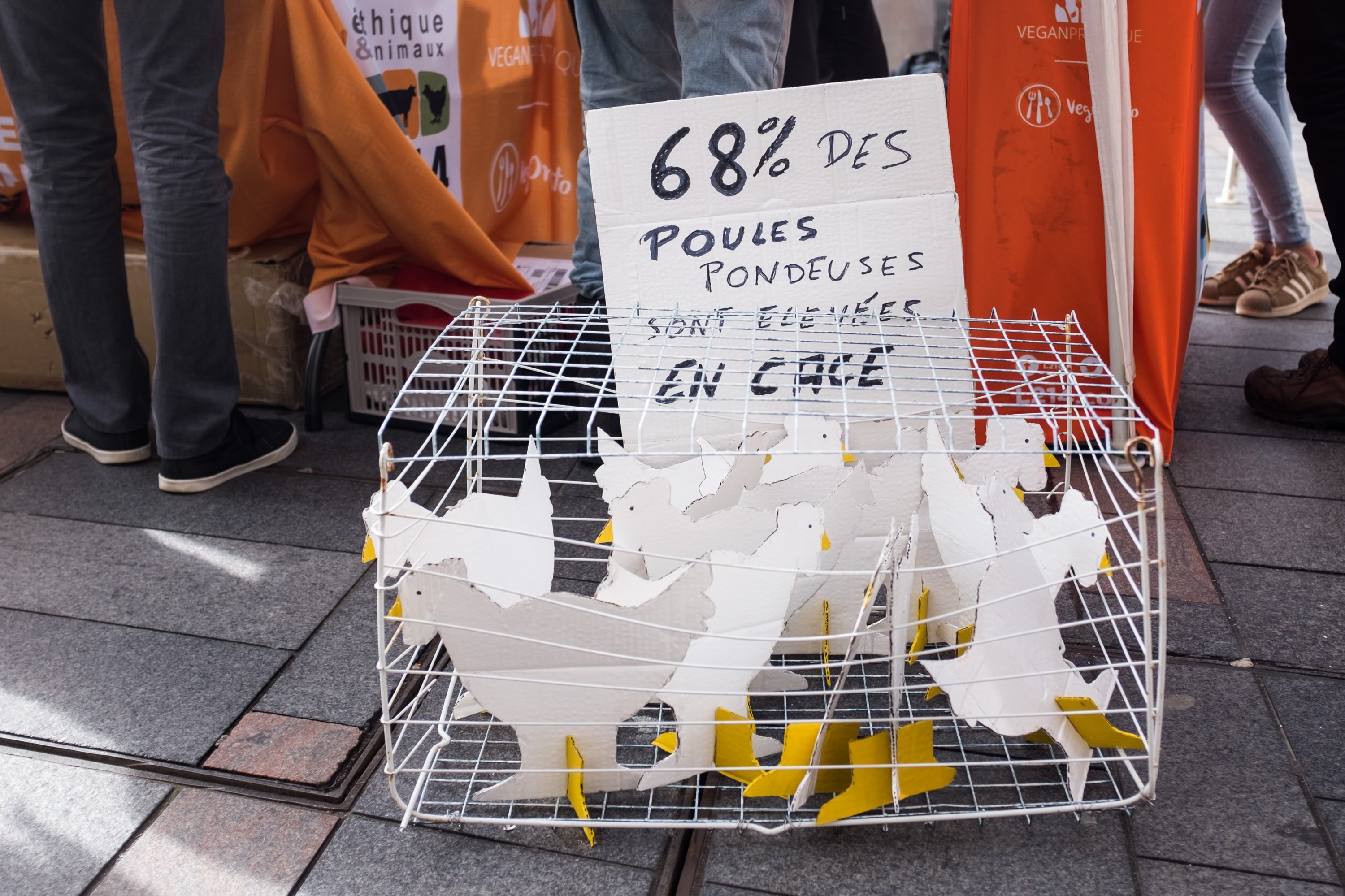 A model representing caged hens with a sign that reads '68% of layer hens are kept in a cage' is seen in this photo taken during a protest in Toulouse, France, Feb. 17, 2018. (Reuters File Photo)