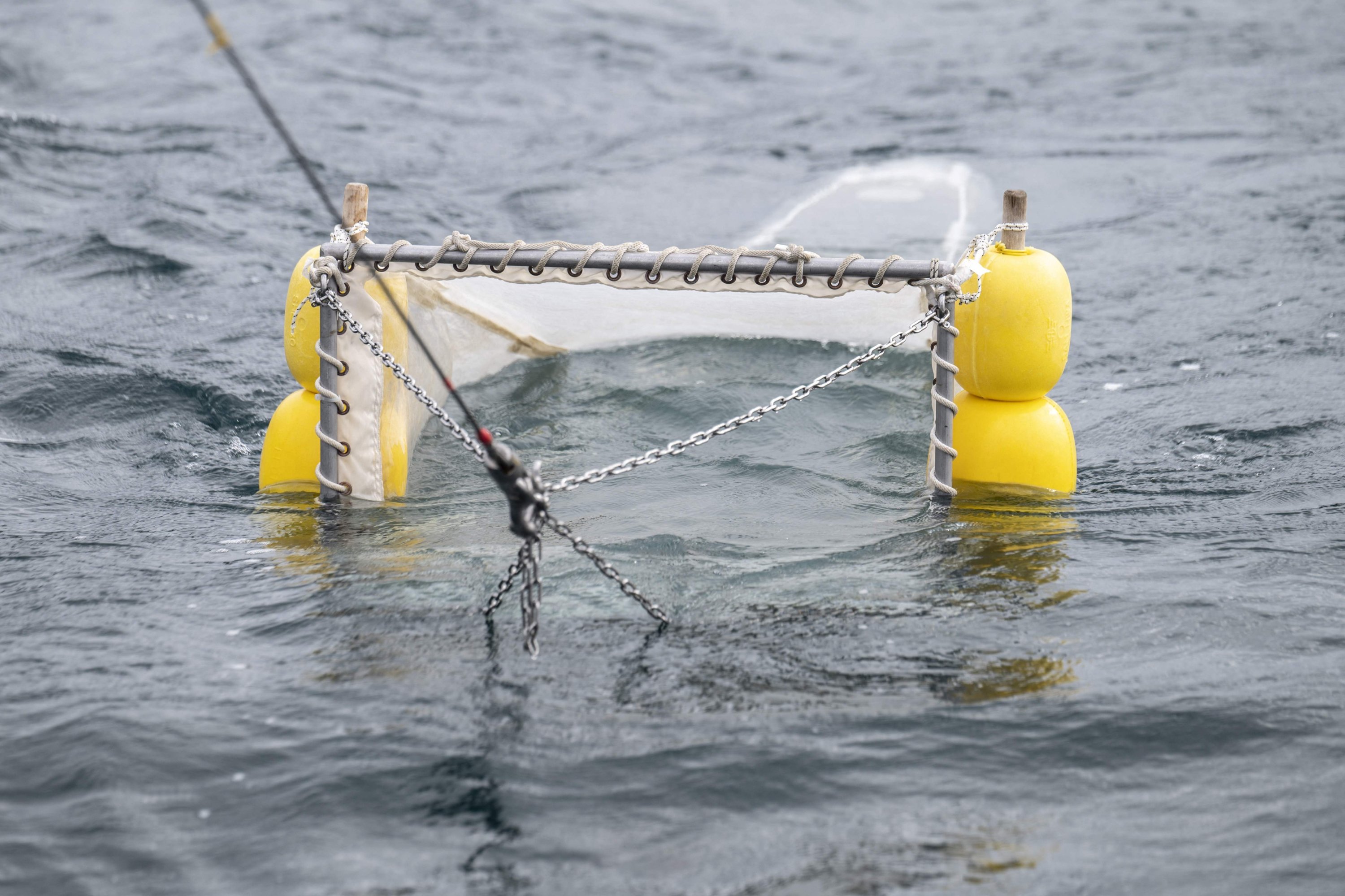 A funnel-shaped net nicknamed "the sock" is pulled along the water