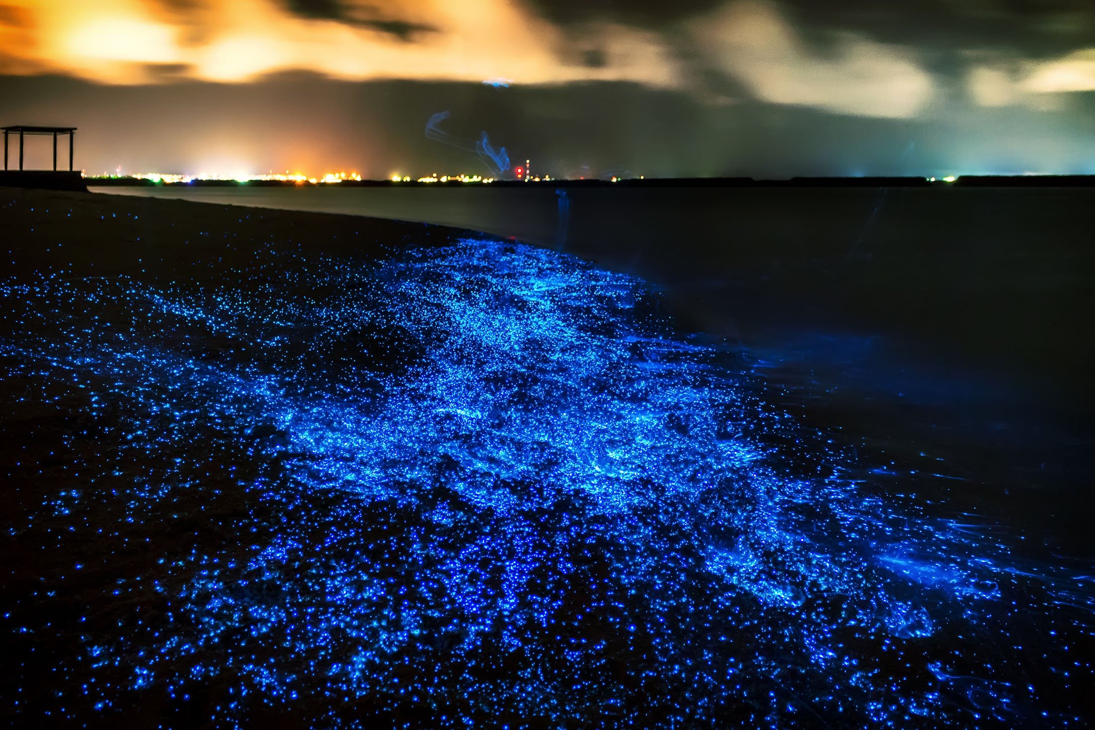Plankton illuminate the beach in the Maldives. (Shutterstock Photo)