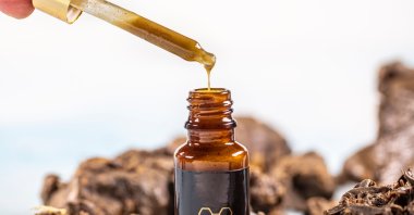 A photo showing propolis, also known as bee glue or bee gum. (Shutterstock Photo)