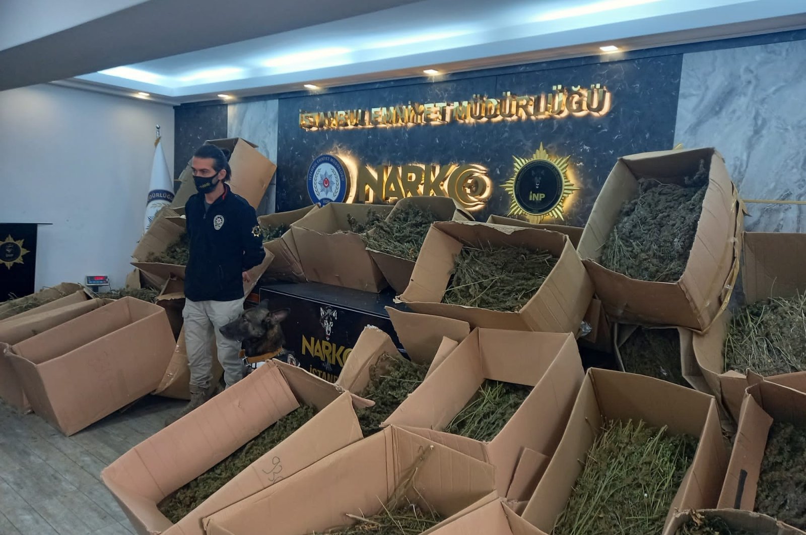 Police display 295 kilos of marijuana seized in operations in the Ümraniye district, in Istanbul, Turkey, Oct. 27, 2021. (İHA PHOTO) 