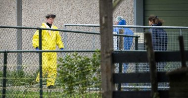 Employees of the Dutch Food and Consumer Product Safety Authority (NVWA) clear a poultry farm after a highly contagious variant of bird flu was diagnosed, in Zeewolde, in the central Flevoland province, Netherlands, Oct. 26, 2021. (AFP Photo)