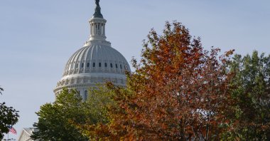 The U.S. Capitol is seen past fall foliage, on Capitol Hill, Washington, D.C., U.S., Oct. 28, 2021. (AP Photo)