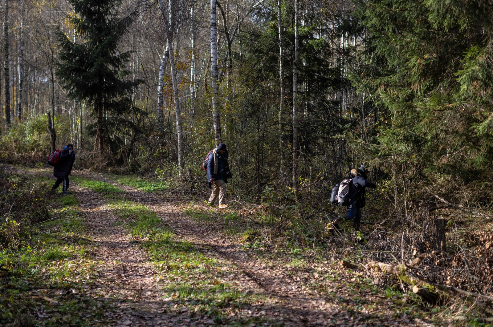 A group of migrants from Yemen are seen in the woods near Grodek, Poland, on Oct. 16, 2021. (AFP) 