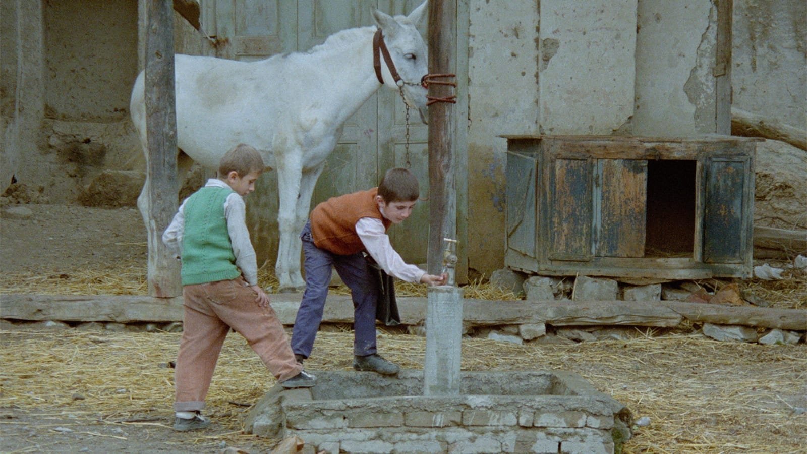 Sebuah gambar diam dari film 'Where is the Friend's Home?'  (Foto milik Istanbul Modern Cinema)