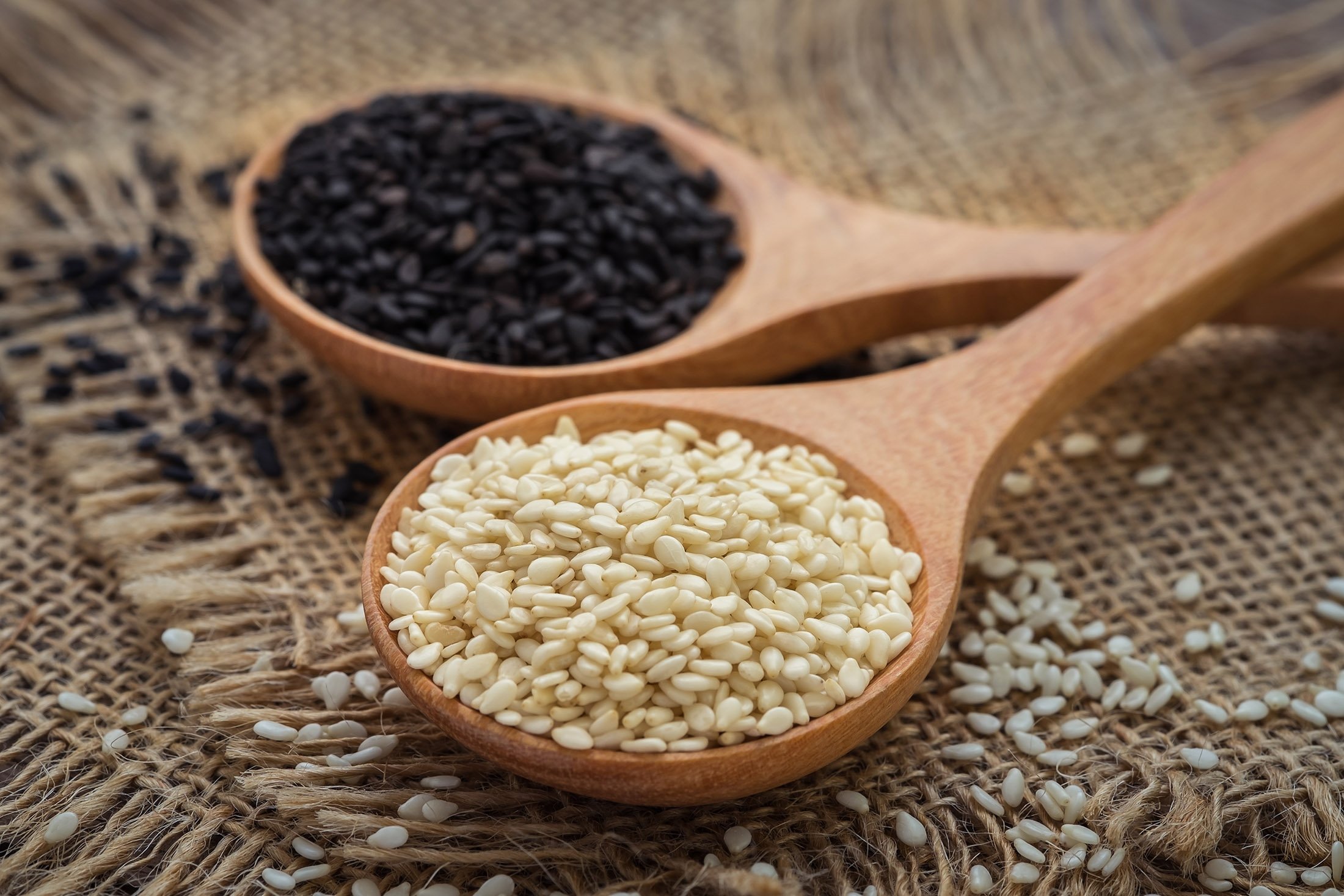 Open sesame! All about this special seed in Turkish cuisine | Daily Sabah