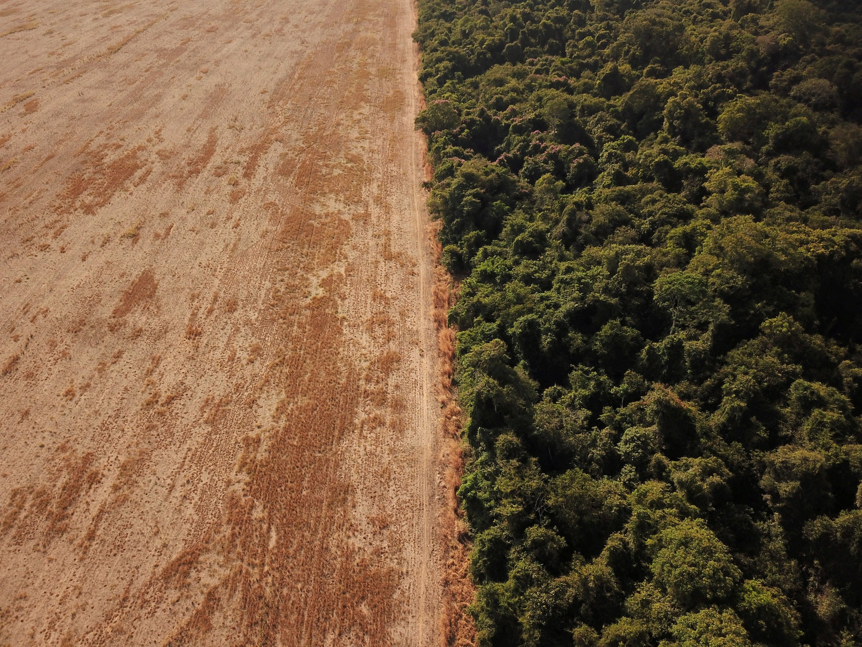 An aerial view shows deforestation near a forest on the border between Amazonia and Cerrado in Nova Xavantina, Mato Grosso state, Brazil, July 28, 2021. (Reuters Photo)