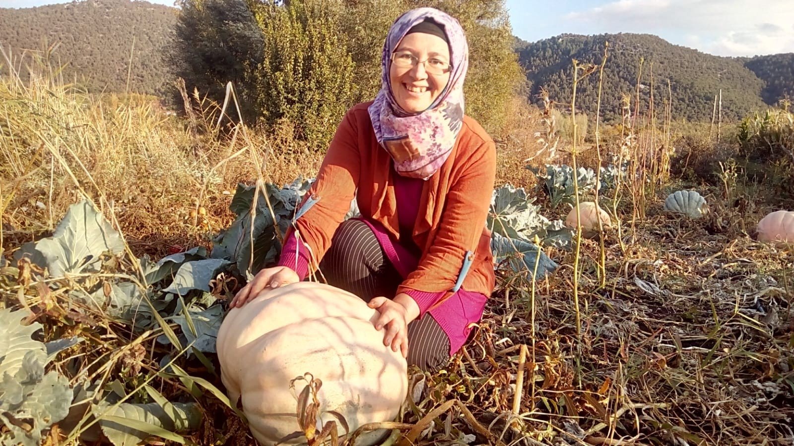Ayşenur Akkan with giant pumkins grown from very old seeds she found in her grandmother's chest, Denizli, Turkey, Oct. 30, 2021. (IHA Photo)
