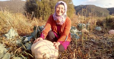 Ayşenur Akkan with giant pumkins grown from very old seeds she found in her grandmother's chest, Denizli, Turkey, Oct. 30, 2021. (IHA Photo)
