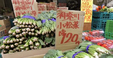 Spinach from Kanagawa Prefecture, left rear, and other leaf vegetables are on sale at a greengrocery in Tokyo, Japan, March 23, 2011. (Kyodo News via AP)
