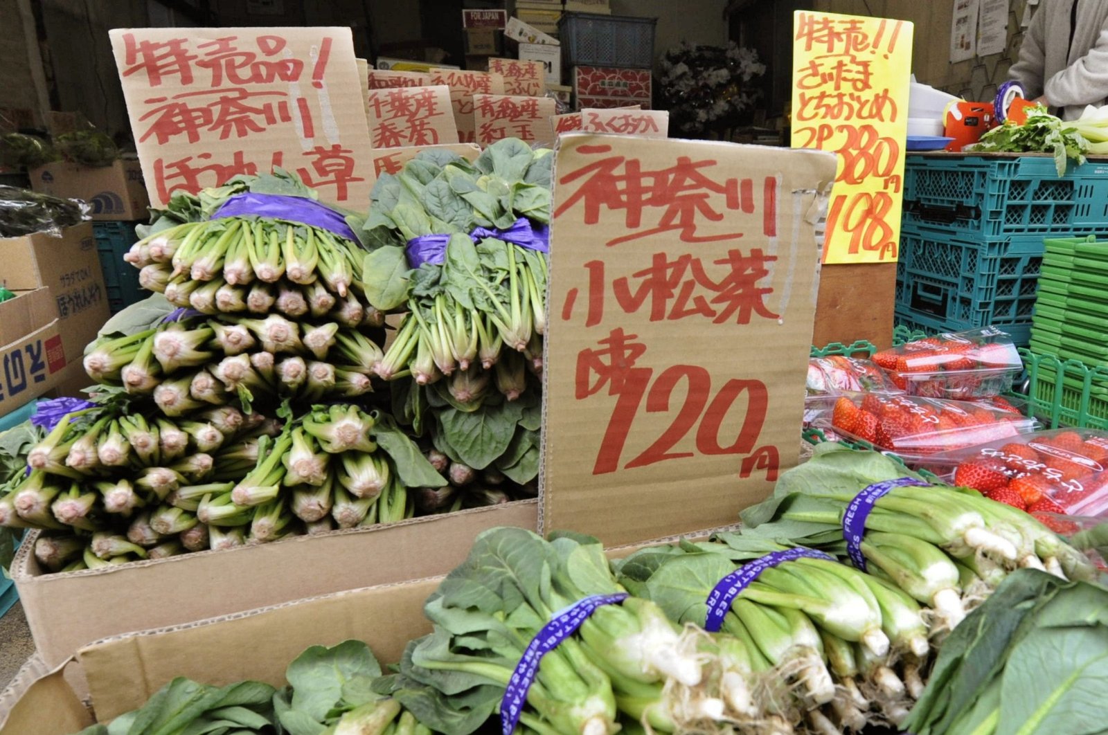 Spinach from Kanagawa Prefecture, left rear, and other leaf vegetables are on sale at a greengrocery in Tokyo, Japan, March 23, 2011. (Kyodo News via AP)
