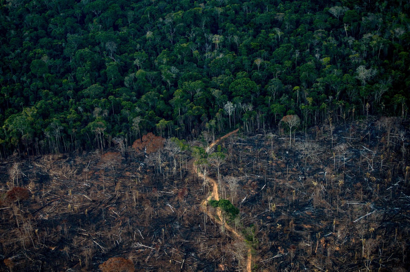 An aerial view shows a deforested area of the Amazonia rainforest in Labrea, Amazonas state, Brazil, Sep. 15, 2021. (AFP Photo)