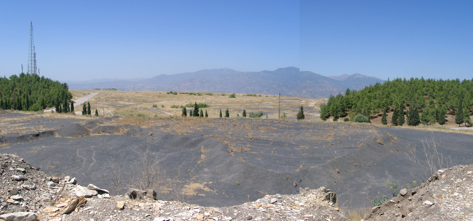 Pohon zaitun ditanam oleh perusahaan Turki Aydın Ligyit Madencilik dan Zetay Tarm di lokasi tambang yang ditinggalkan di provinsi Aydın, Turki.  (Foto disediakan untuk pers)
