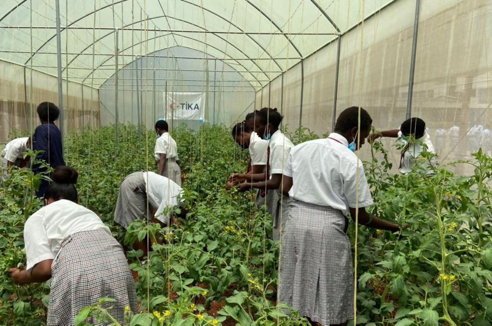 Agen Turki membantu pemuda Kenya untuk mendapatkan keterampilan pertanian