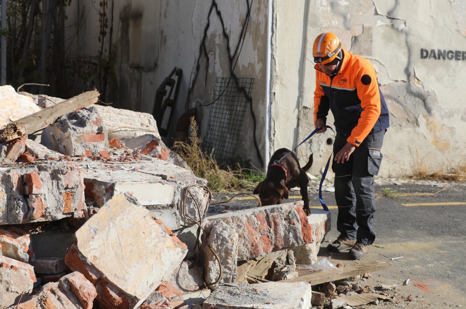 A dog searches through the rubble for survivors in a mock drill in Tekirdağ, northwestern Turkey, Nov. 12, 2021. (AA PHOTO)