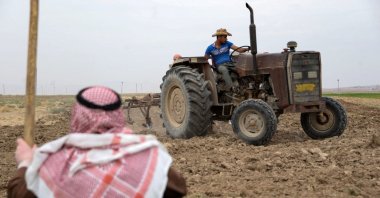 An elderly man watches a farmer plow the land with the help of a tractor, on the outskirts of the town of Tel Keppe (Tel Kaif) north of the city of Mosul in the northern province of Nineveh, Iraq, Oct. 26, 2021. (AFP Photo)