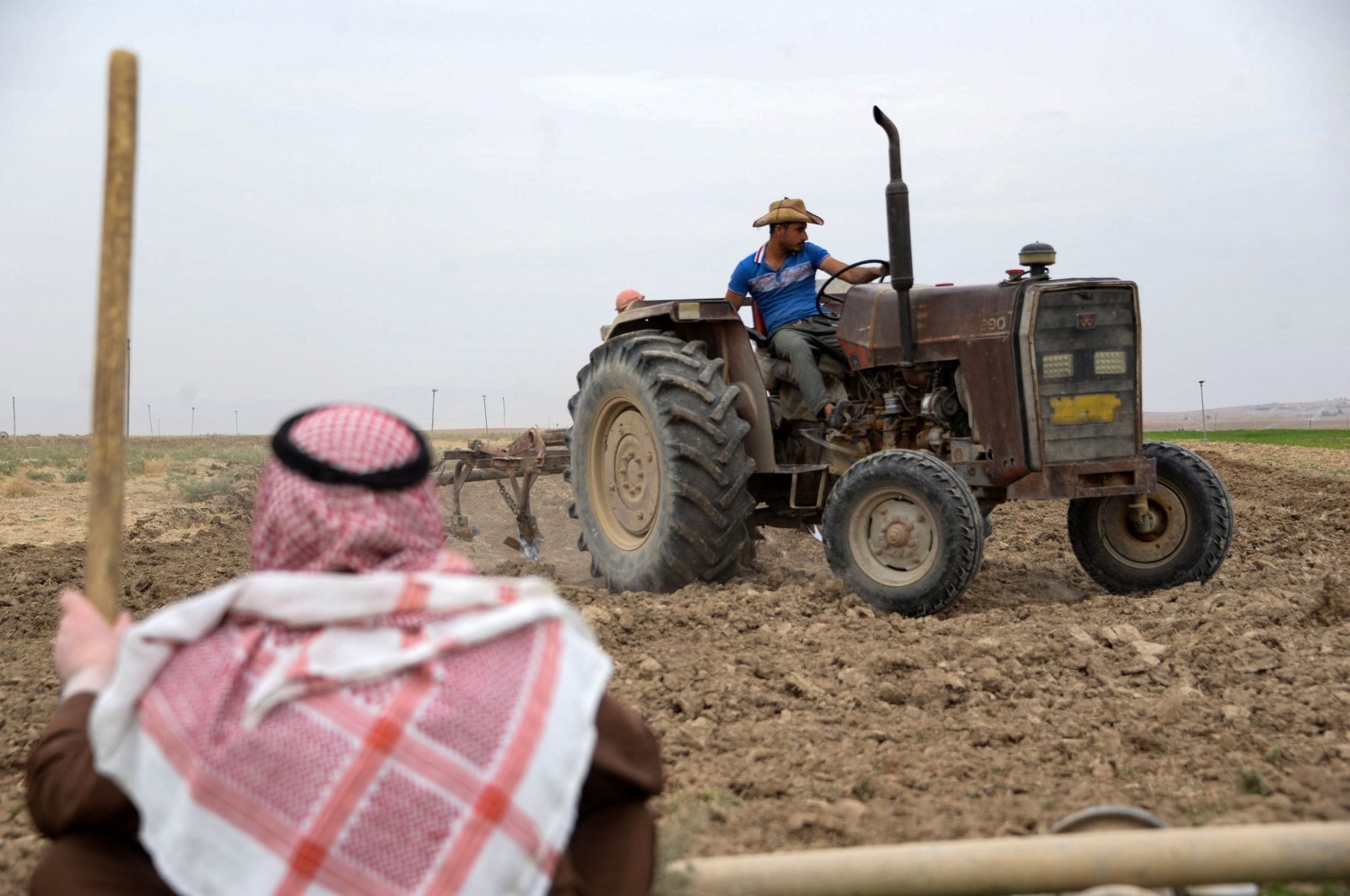 An elderly man watches a farmer plow the land with the help of a tractor, on the outskirts of the town of Tel Keppe (Tel Kaif) north of the city of Mosul in the northern province of Nineveh, Iraq, Oct. 26, 2021. (AFP Photo)