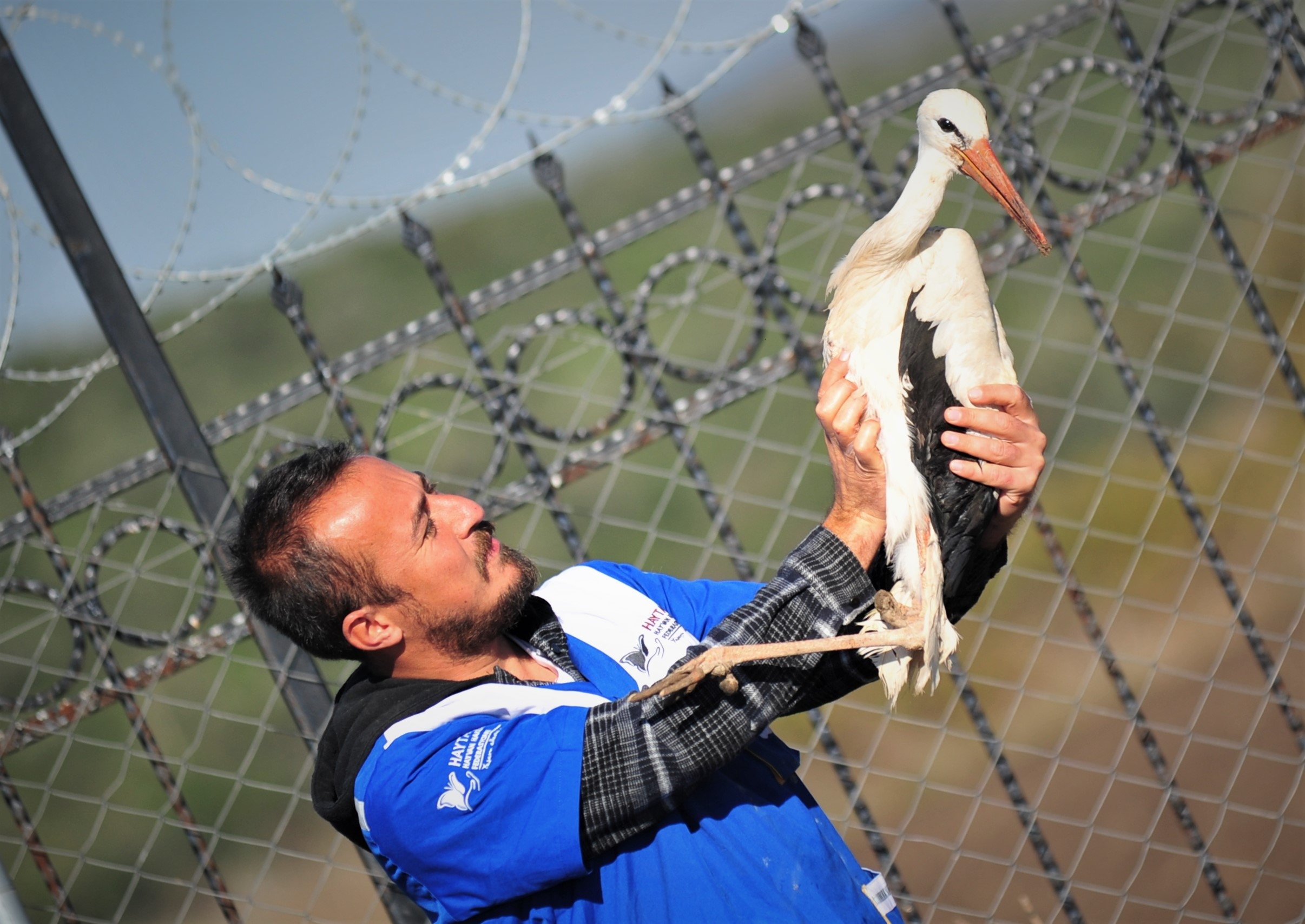 Emre Demir holding one of the rescued storks, who are the farm's first wild animals, at the Animal Rights Federation (HAYTAP) 'Retired Animals Farm' in Bursa, Turkey, Nov. 10, 2021. (DHA Photo)