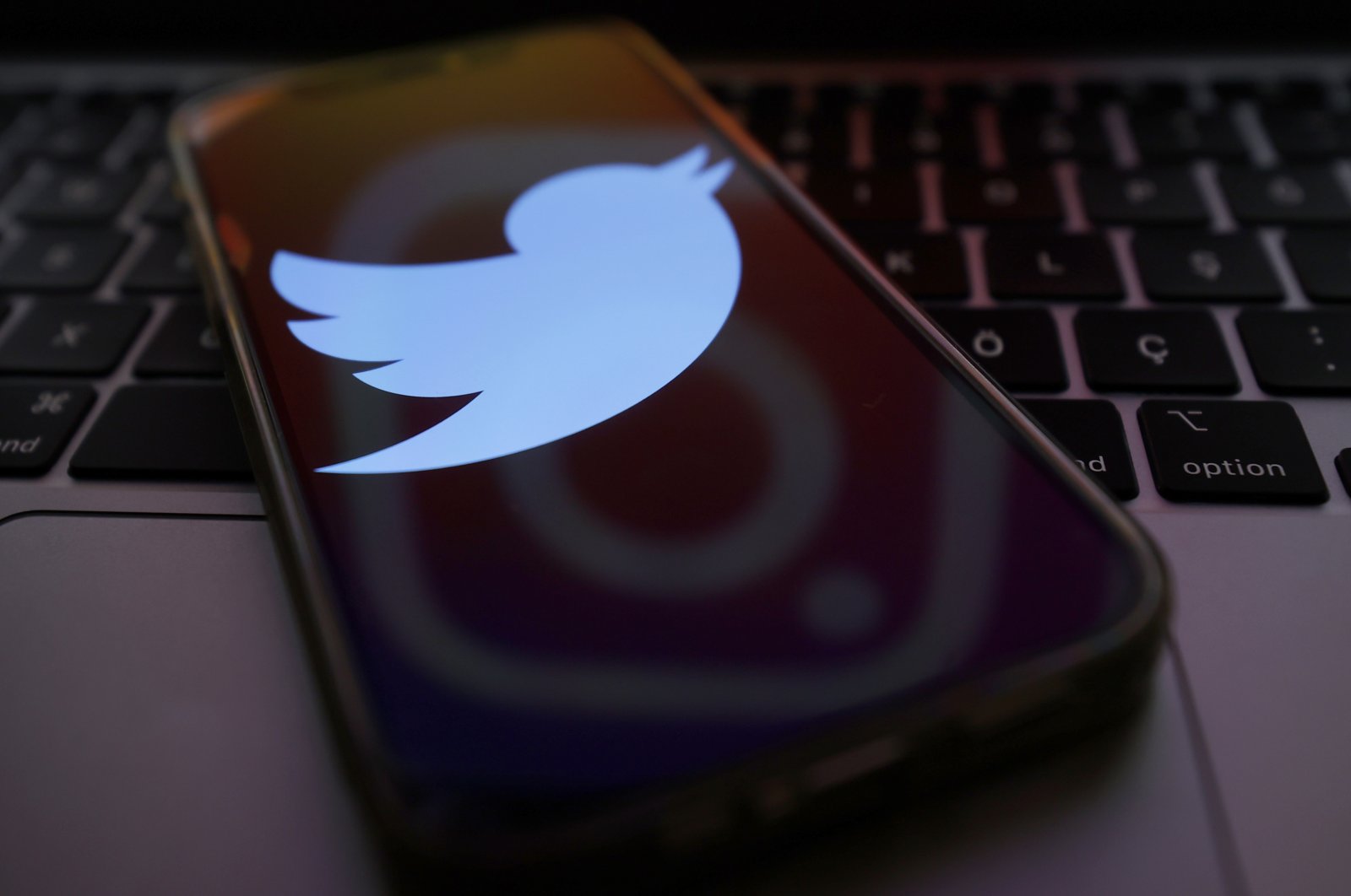 Twitter&#039;s logo is displayed on a smartphone, Nov. 13, 2021. (AA Photo)