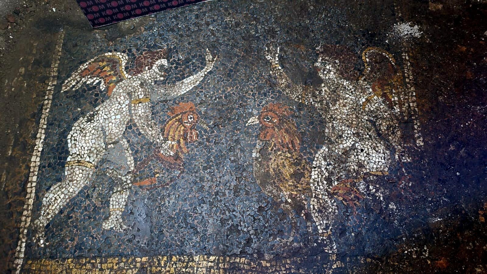 The mosaics discovered in the raids in Izmir province, Tuesday, Nov. 16, 2021. (DHA Photo)