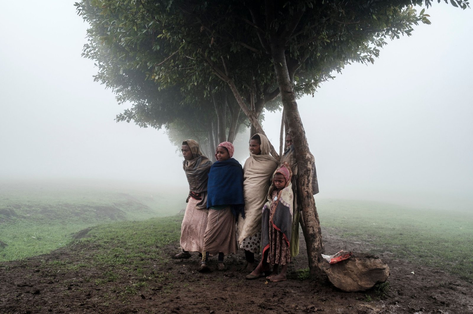 In this file photo, children stand under a tree on the site of a future camp for Eritrean refugees, in a rural area near the village of Dabat, 70 kilometers northeast of the city of Gondar, Ethiopia, July 13, 2021. (AFP Photo)