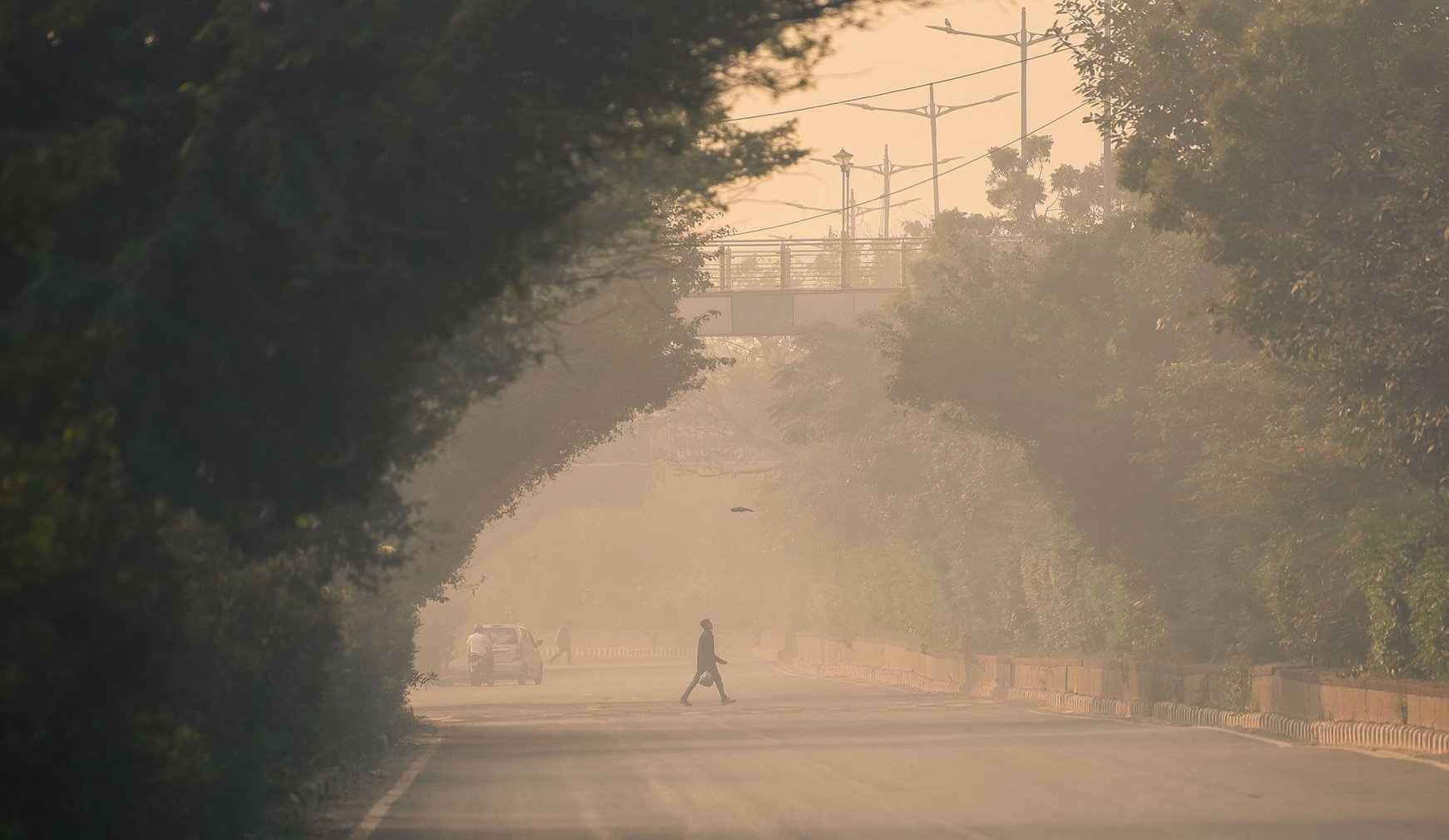 Schools Shut, Work From Home In Delhi As India Smothered By Smog ...