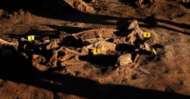 The remains of some of the people killed by the forces of dictator Francisco Franco in November 1936, are seen during the exhumation of a mass grave by the Association for the Recovery of Historical Memory (ARMH), in Recas, Spain Nov. 17, 2021. (REUTERS Photo)