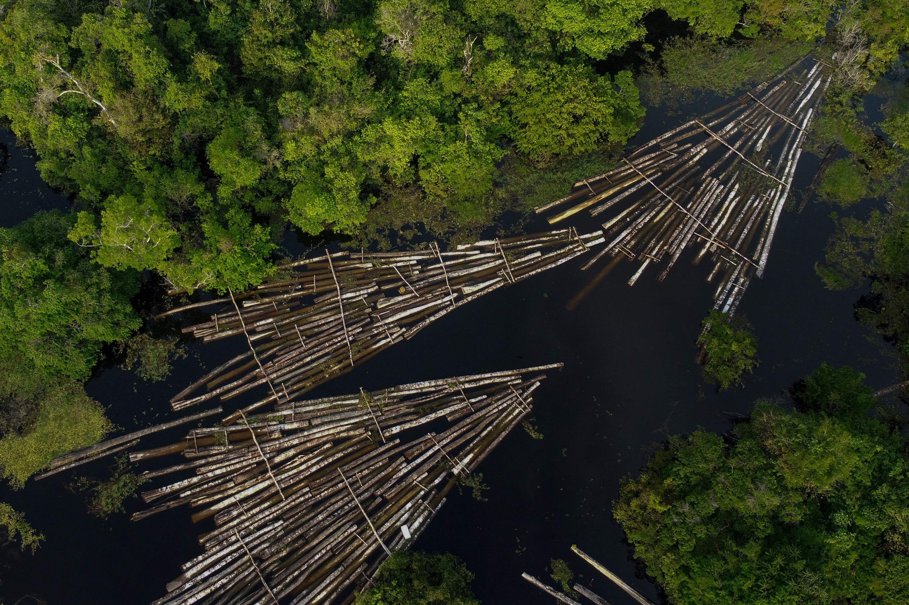 Logs of wood seized by the Amazon Military Police at the Manacapuru River in Manacupuru, Amazonas State, Brazil, July 16, 2020. (AFP Photo)