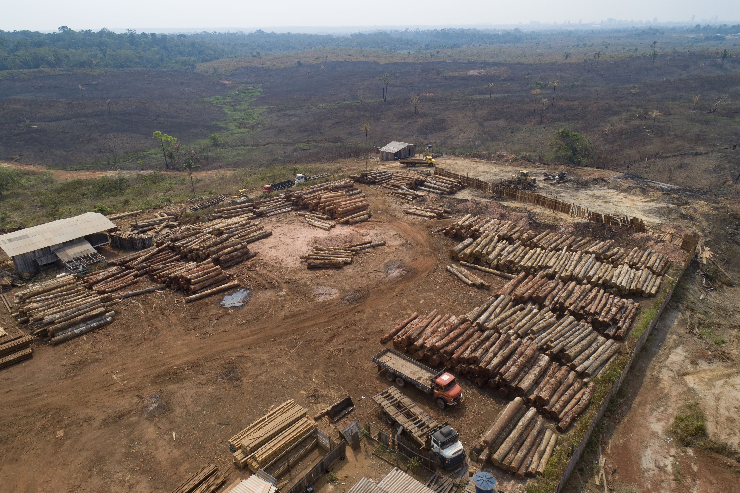 Kayu gelondongan ditumpuk di pabrik kayu yang dikelilingi oleh ladang yang baru saja hangus dan gundul di dekat Porto Velho, negara bagian Rondonia, Brasil, 2 September 2019. (AP Photo)
