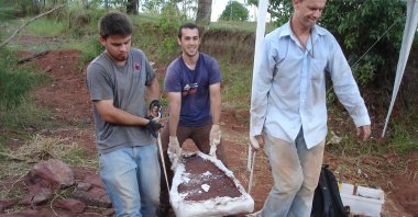 Archeologists recover a fossil of a new species of dinosaur discovered in Cruzeiro do Oeste, Brazil in this handout picture released on Jan. 13, 2013. (National Musem of Rio de Janeiro via AFP)