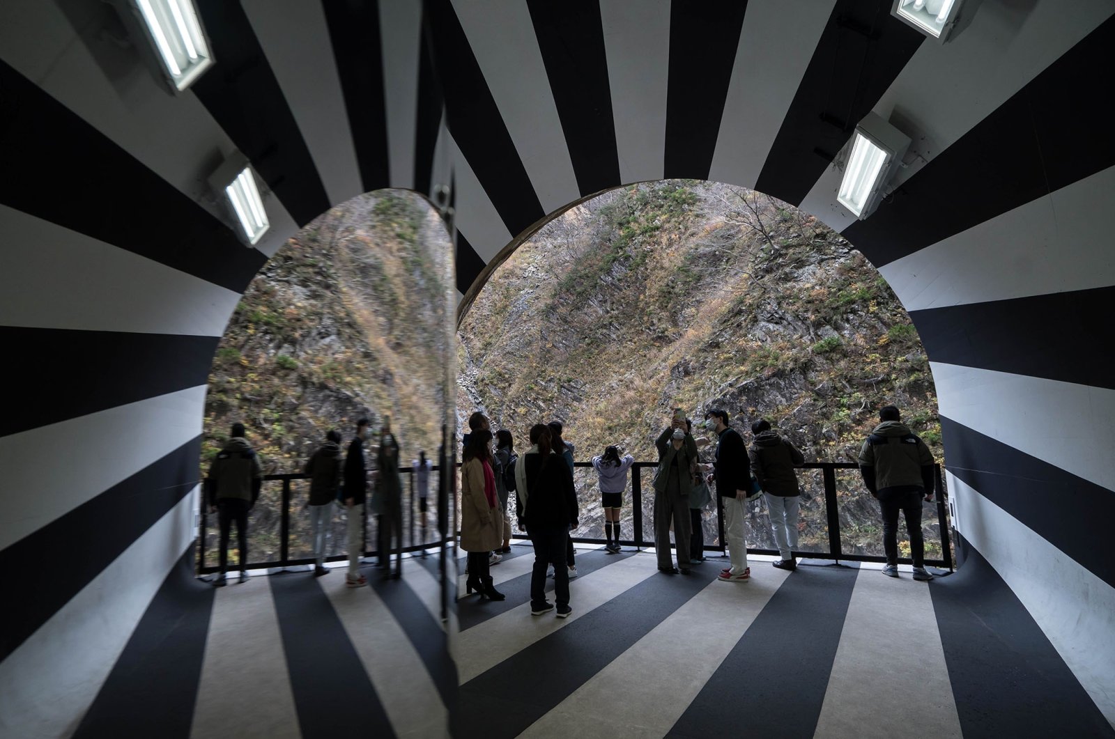 Melengkungkan pandangan Anda: instalasi seni ‘Terowongan Cahaya’ Jepang