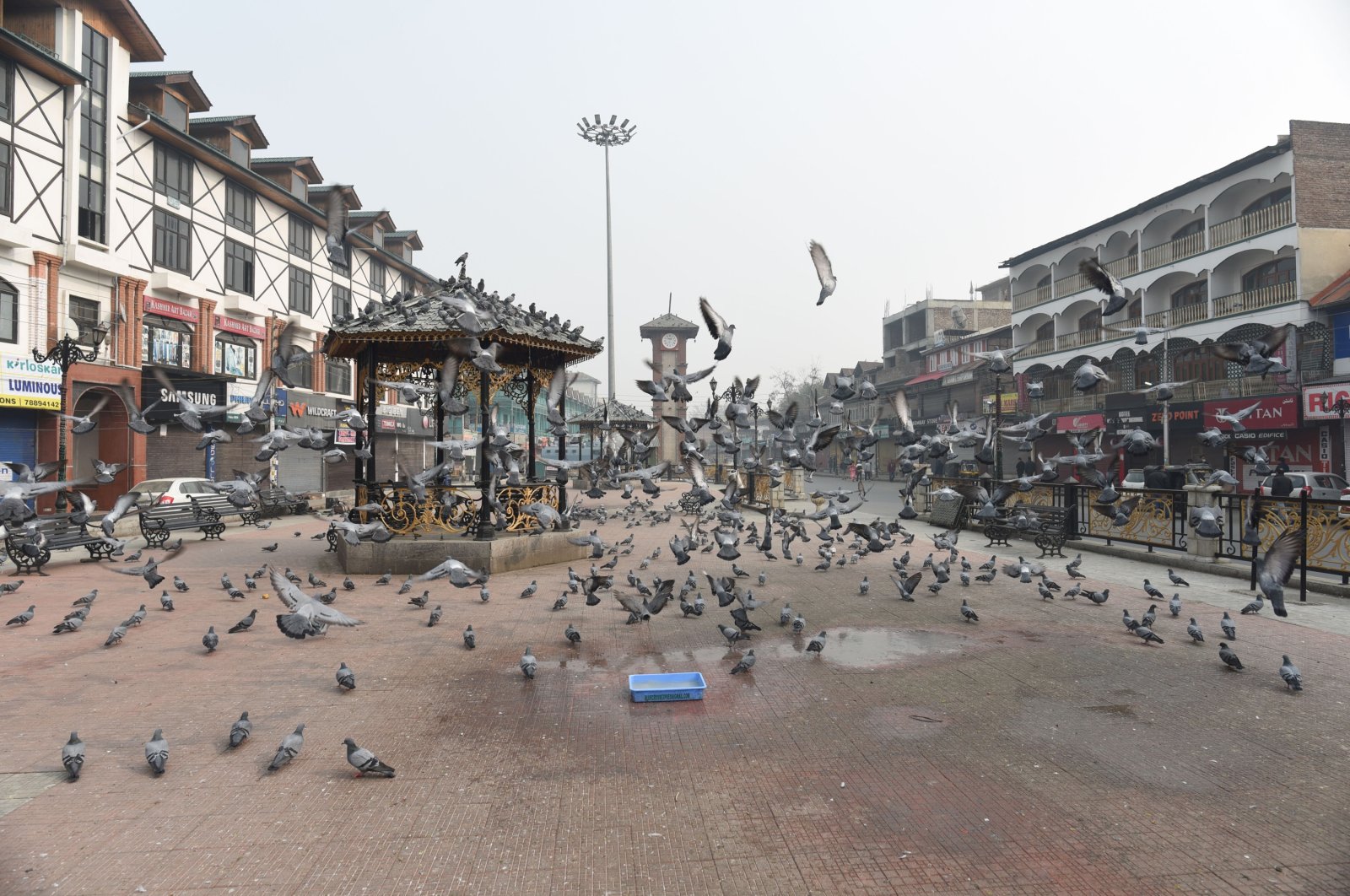 Pigeons seen at a deserted market area in Srinagar, Indian-occupied Kashmir, Nov. 19, 2021. (Photo by Getty Images)