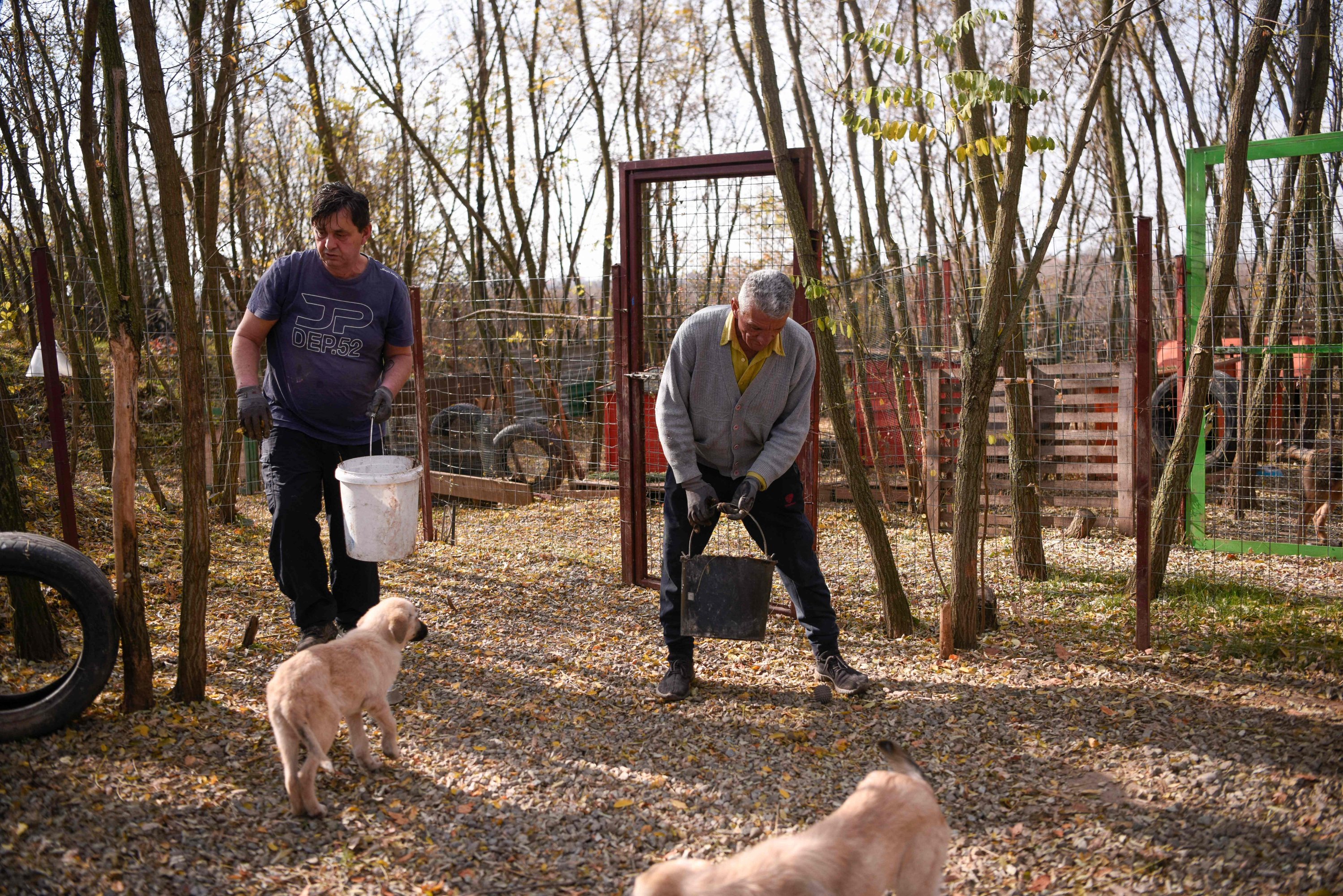 Albanian founder of the Pristina Dog Shelter Mentor Hoxha (L) and his Serbian counterpart Slavisa Stojanovic (R) work together at their shelter near the town of Gracanica, Kosovo, Nov. 12, 2021. (AFP Photo)