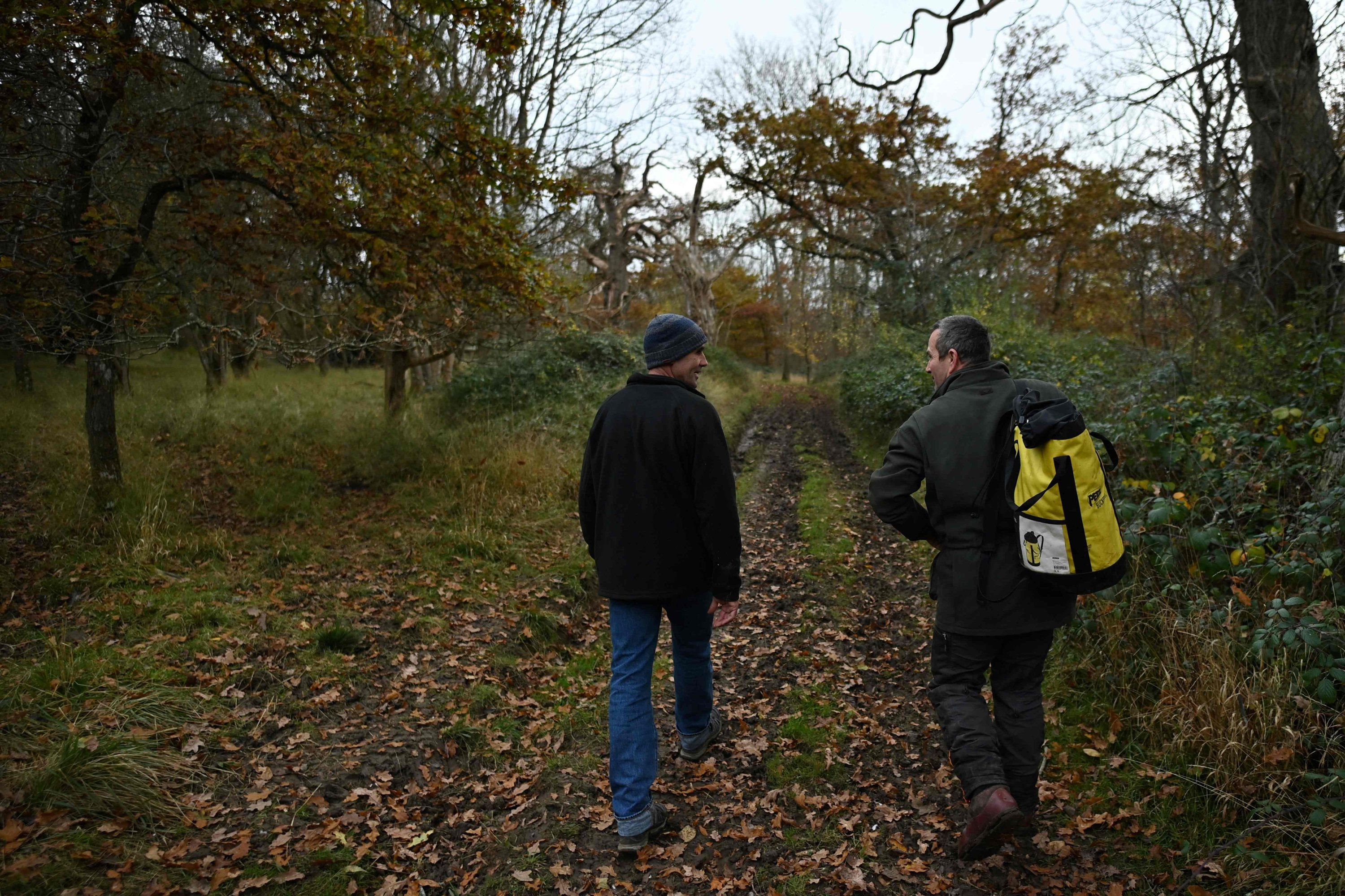 Bee conservationist Filipe Salbany (L) and Head Forester Nick Baimbridge walk through the Low Park on the Blenheim Estate in Oxfordshire, U.K., Nov. 20, 2021. (AFP Photo)