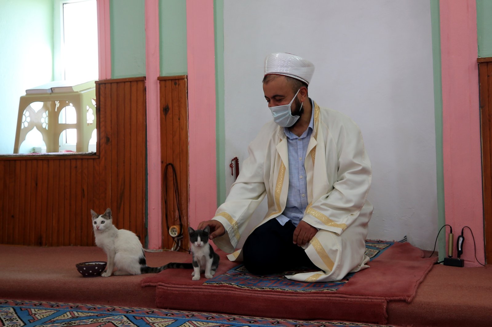 Masjid Turki memberikan rumah yang hangat untuk kucing liar
