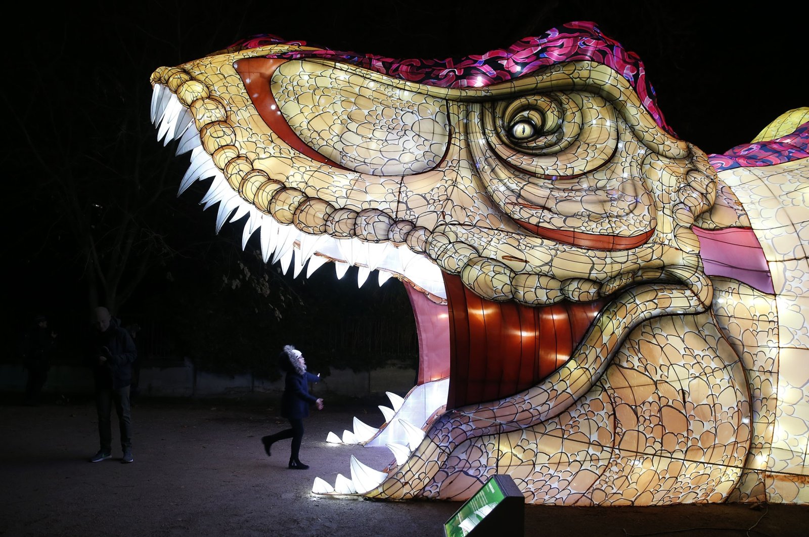 T-rex, mammoth, dan harimau bertaring tajam: Museum bercahaya di Paris