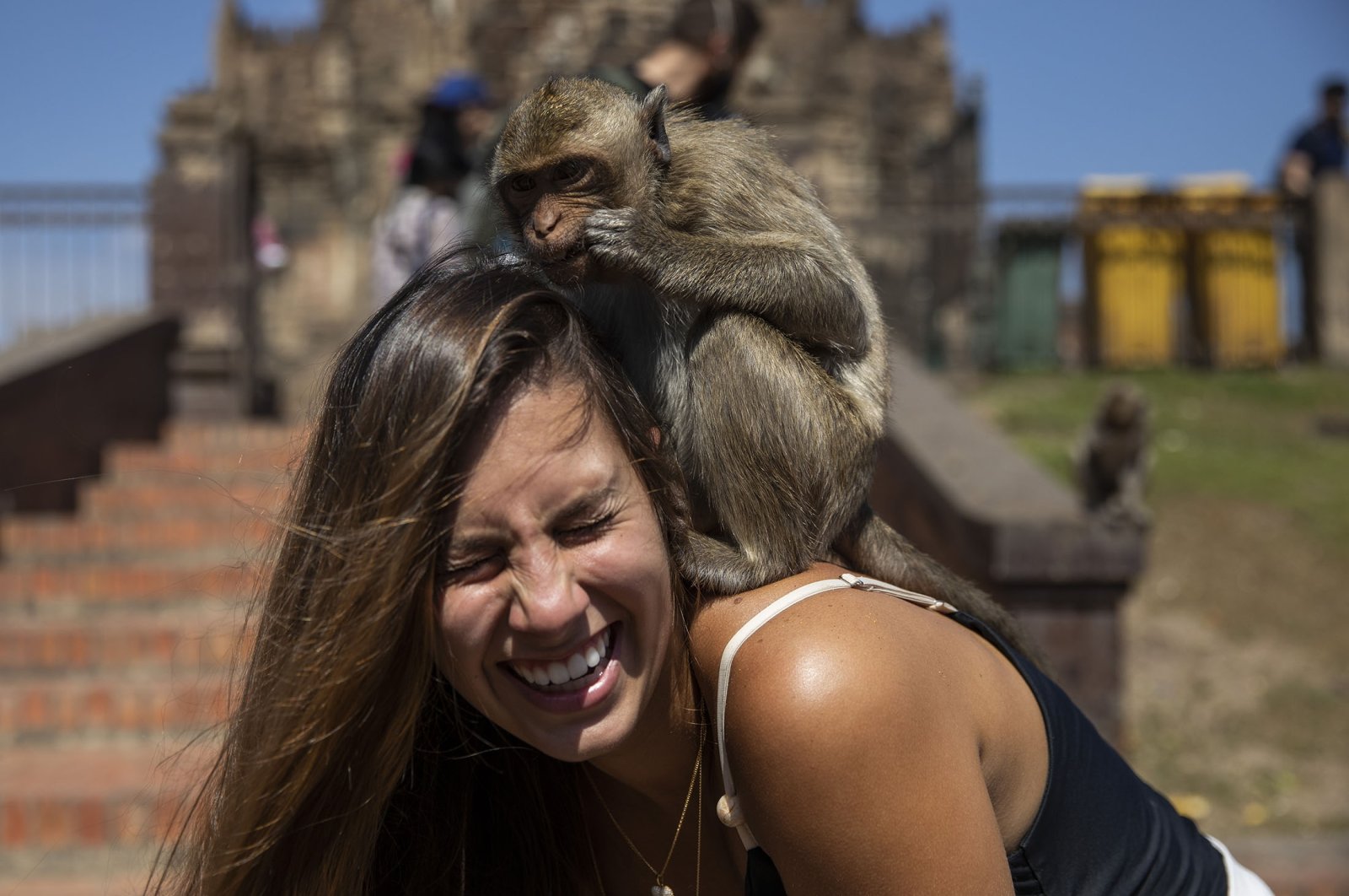 Perjamuan Primata: Festival Monyet Lopburi merayakan pembukaan kembali