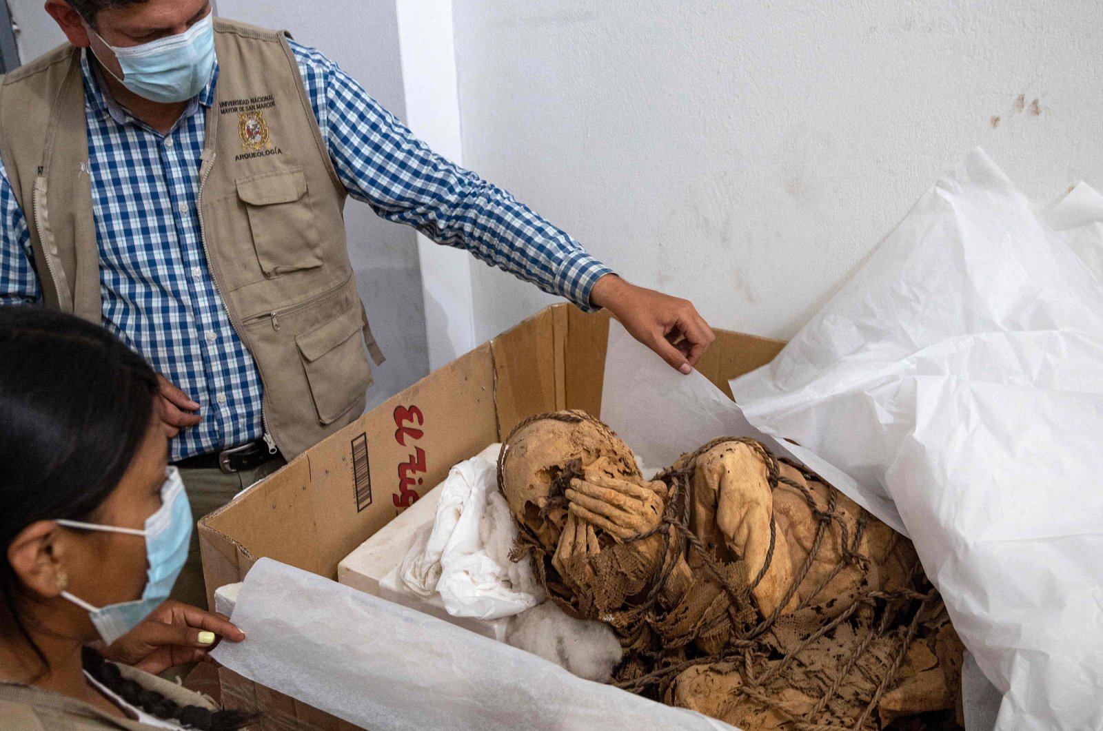 Archaeologist Pieter Van Dalen Luna (L), head responsible for the Cajamarquilla Archeological project shows, next to archaeologist Yomira Huamán, a mummy estimated to be between 800 and 1,200 years old, Lima, Peru, Nov. 30, 2021. (AFP Photo) 