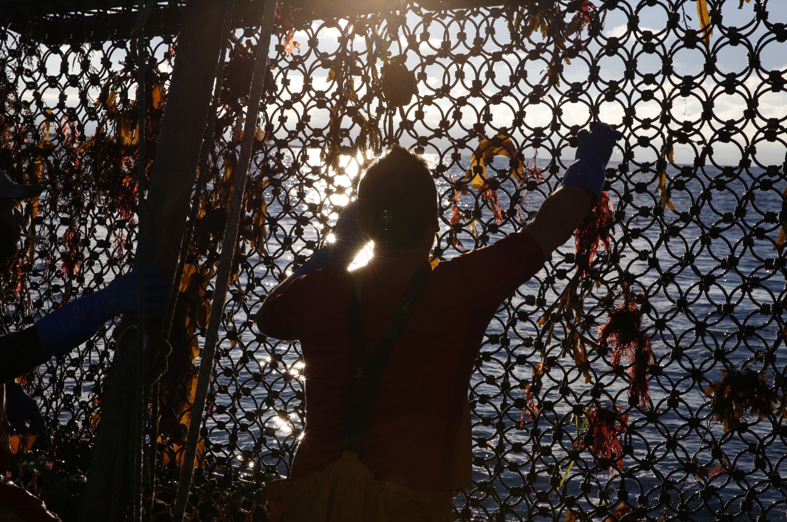 A fisherman holds the net aboard the trawler Le Chant des Sirenes (The Mermaids&#039; song), fishing at the limits of the French-U.K. waters, off Granville, Normandy, Nov. 9, 2021. (AP Photo)