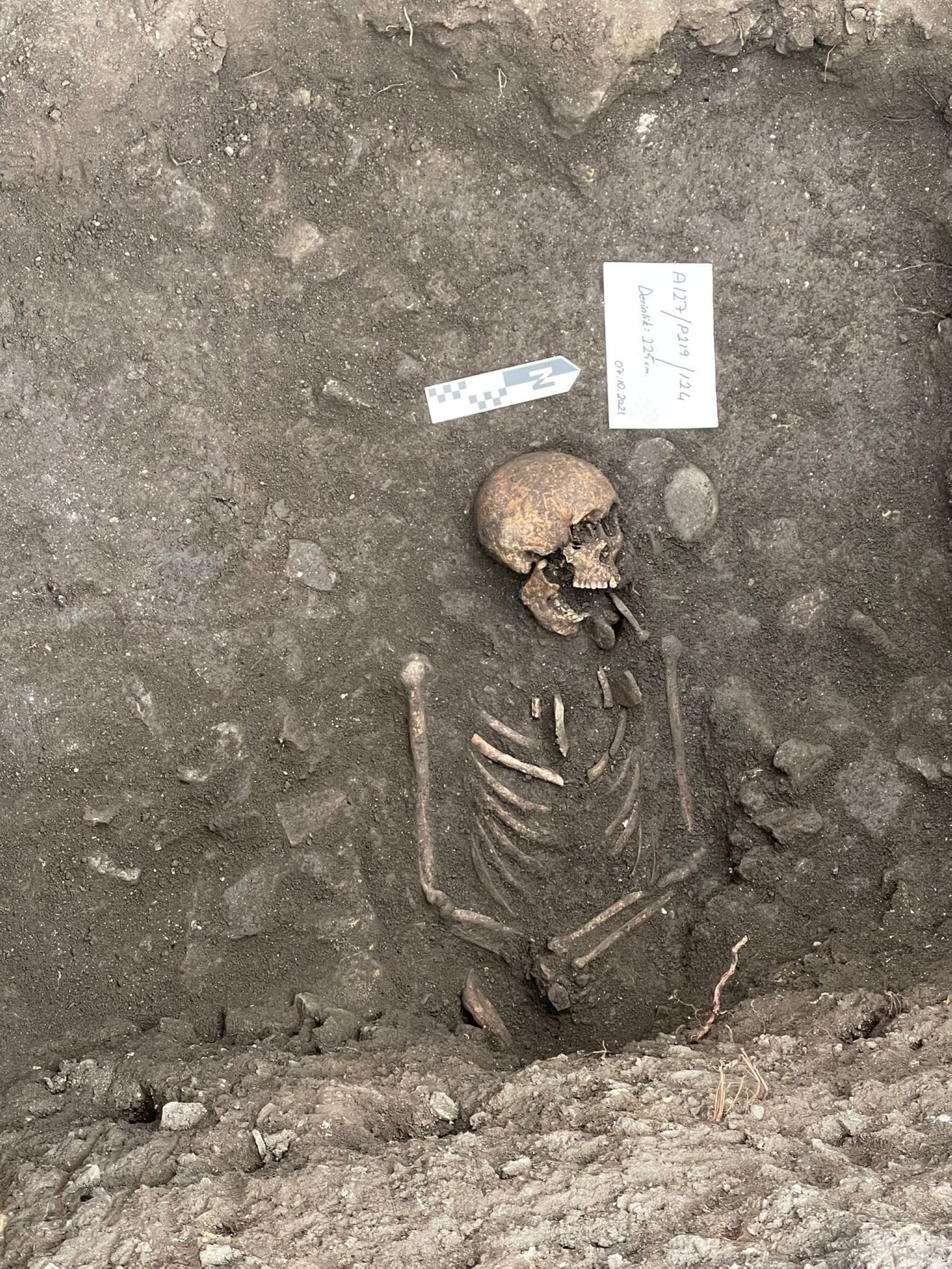 A human skeleton found during the excavations in the Zagnos Valley, Trabzon, northern Turkey, Dec. 1, 2021. (İHA)