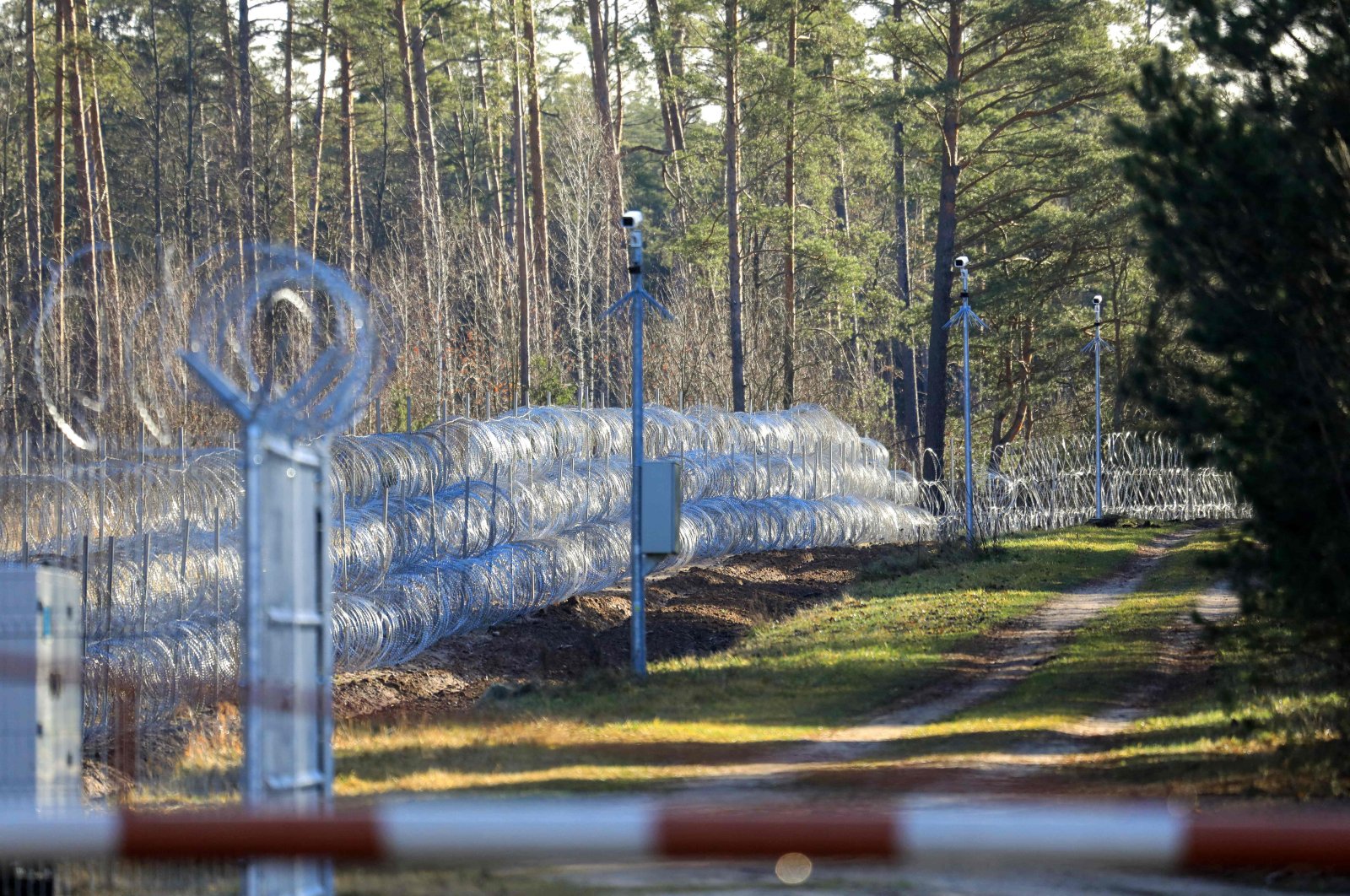 Barbed wire fence is pictured at the Lithuanian- Belarusian border in Sadziunai, Lithuania, on November 22, 2021. (Photo by PETRAS MALUKAS / AFP)