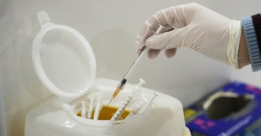 A nurse puts a used syringe into a box at an Italian Red Cross anti COVID-19 vaccination hub, in Rome, Monday, Nov. 29, 2021. (AP Photo)