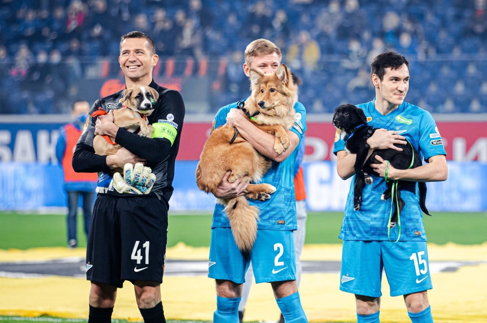 Tim sepak bola Rusia memenangkan hati dengan mengambil alih lapangan dengan anjing-anjing pelindung