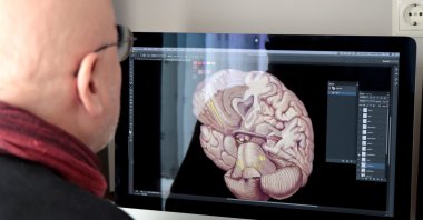 Professor Ahmet Sınav works on a brain illustration on his computer, Sapanca, Kocaeli, northwestern Turkey, Dec. 4, 2021. (AA Photo)