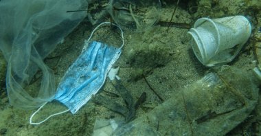 A view of plastic pollution in the Adriatic Sea, off the coast of Budva, Montenegro, July 31, 2020. (GETTY IMAGES)